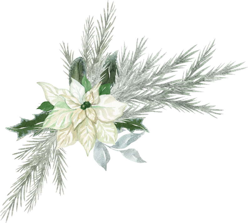 Watercolor frosty poinsettia and silver spruce winter bouquet